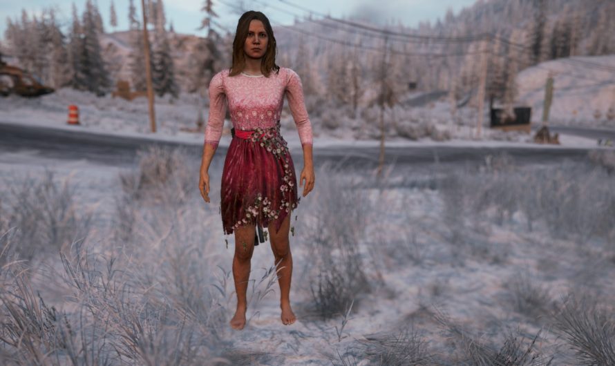 Faith Seed dresses (updated)
