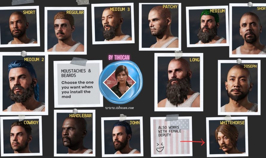 Facial hair styles for player (for female and male deputies)
